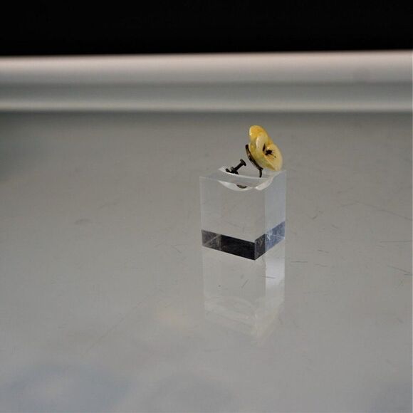 Vintage Coalport Porcelain Pansy Earring One SINGLE Screw Back AS IS For Crafts - Picture 4 of 9